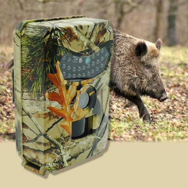Immortalisez des moments uniques de la faune grâce à cette caméra de chasse premium !
