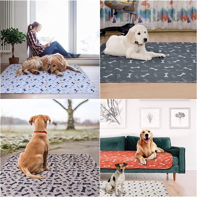Tapis de lit imperméable pour chiens et animaux de compagnie - Blog Post