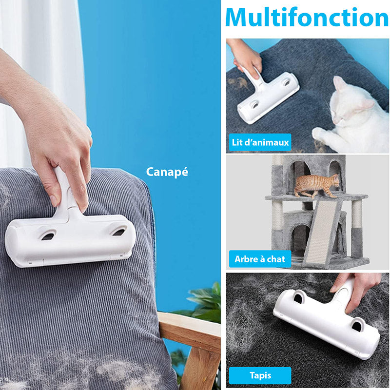 Brosse Anti-Poils pour Animaux Chats et Chiens - Idéal pour Canapé Lit et Voiture pour un Nettoyage Facile