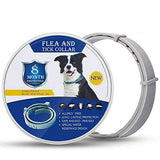 Collare antipulci e antizecche naturale per cani - 62cm regolabile e impermeabile
