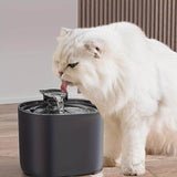 Fontana d'Acqua per Gatto con Filtro Eauflow