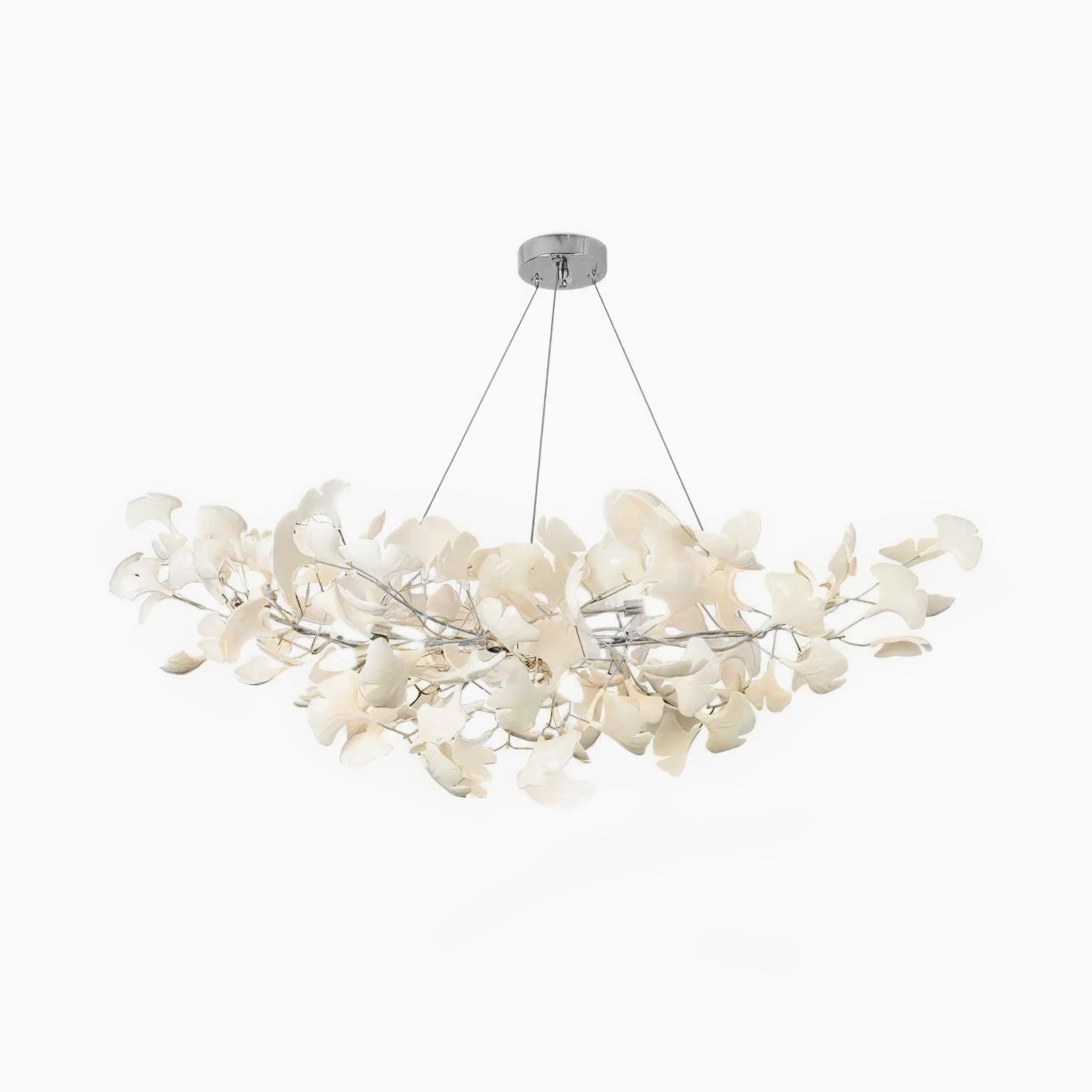 Lucentezza in ginkgo