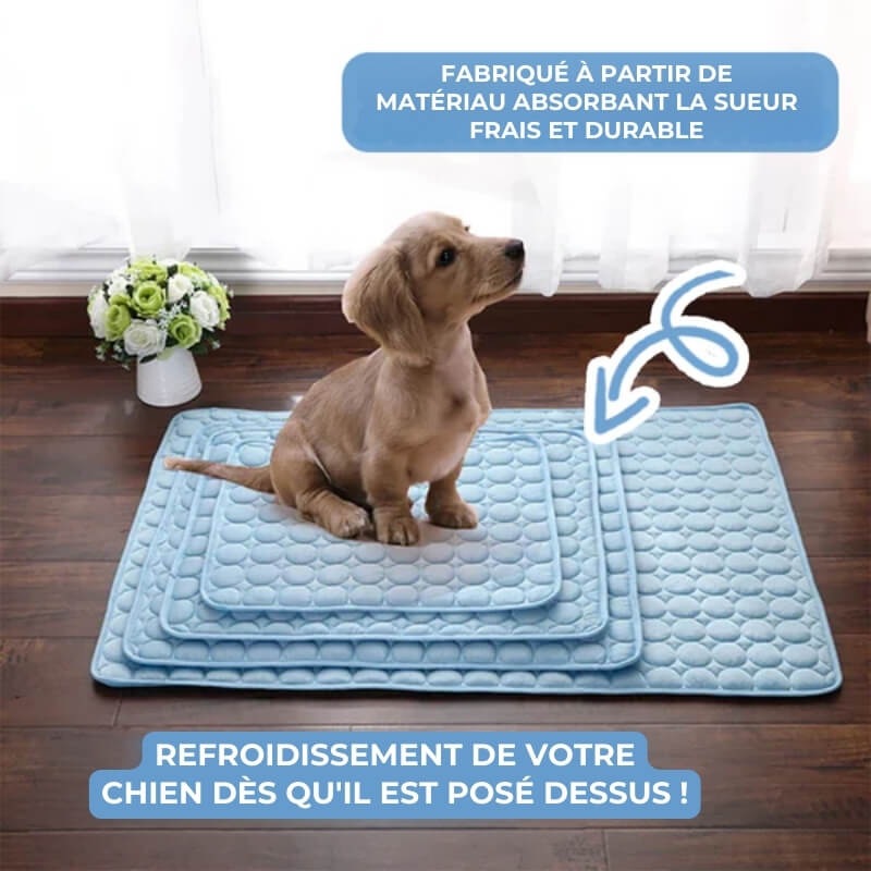 Tapis Rafraîchissant pour Chien - Confort Canin en Été Chaud | Léger et Portable